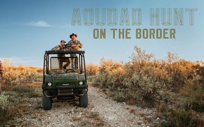 Aoudad Hunt On The Border