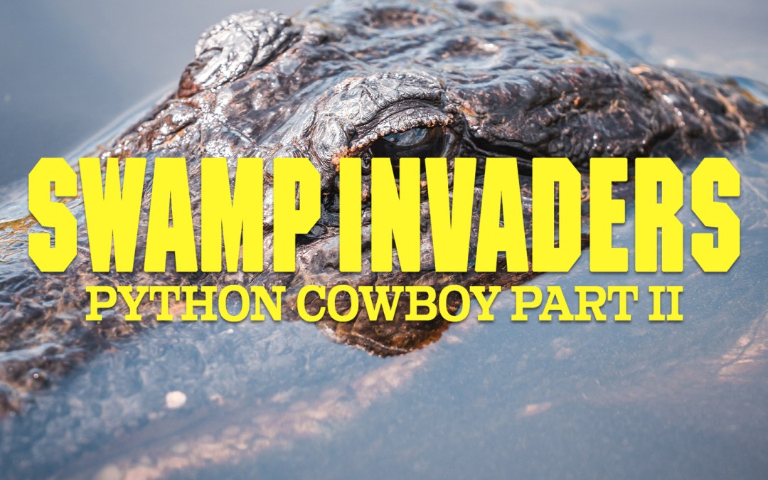 Swamp Invaders: Python Cowboy II