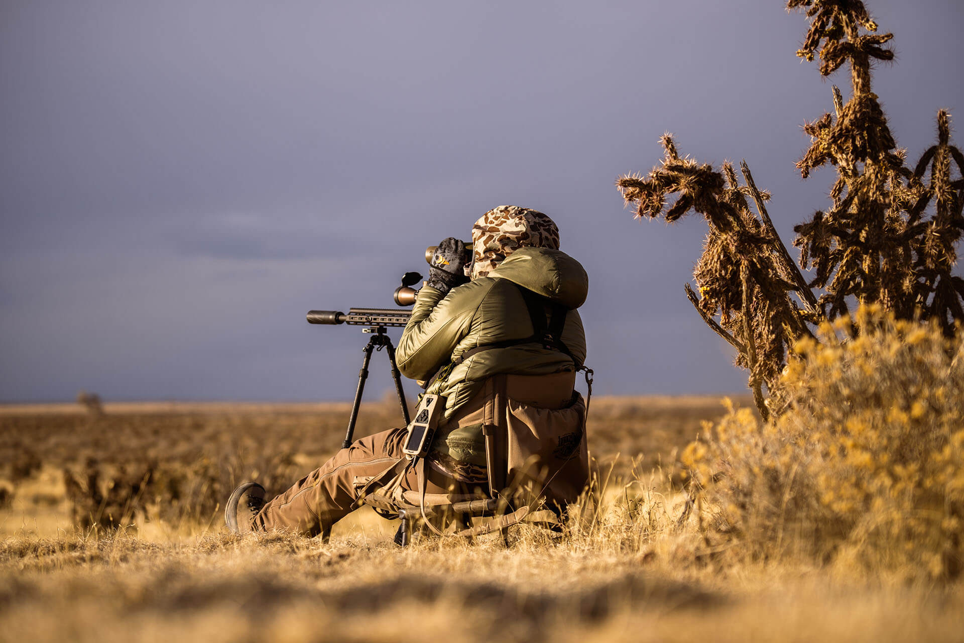 Rear view of a camo-clad hunter sitting in a field chair looking through binoculars next to a tripod-mounted rifle near a cholla cactus during a western coyote hunt.