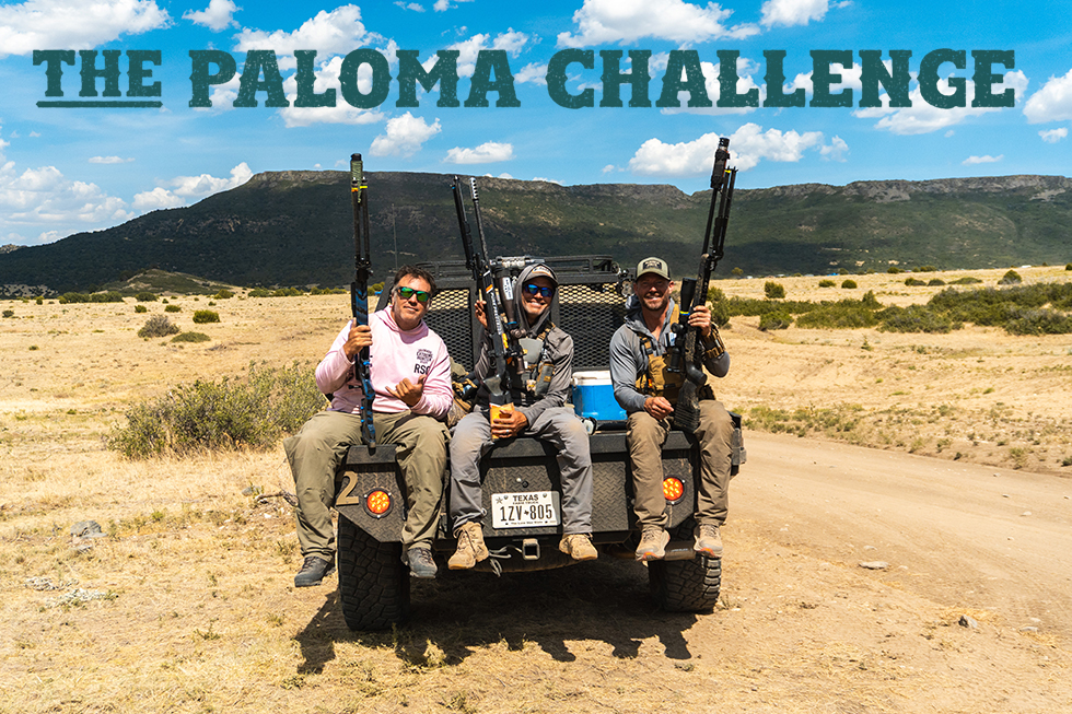 Up for The Paloma Challenge?